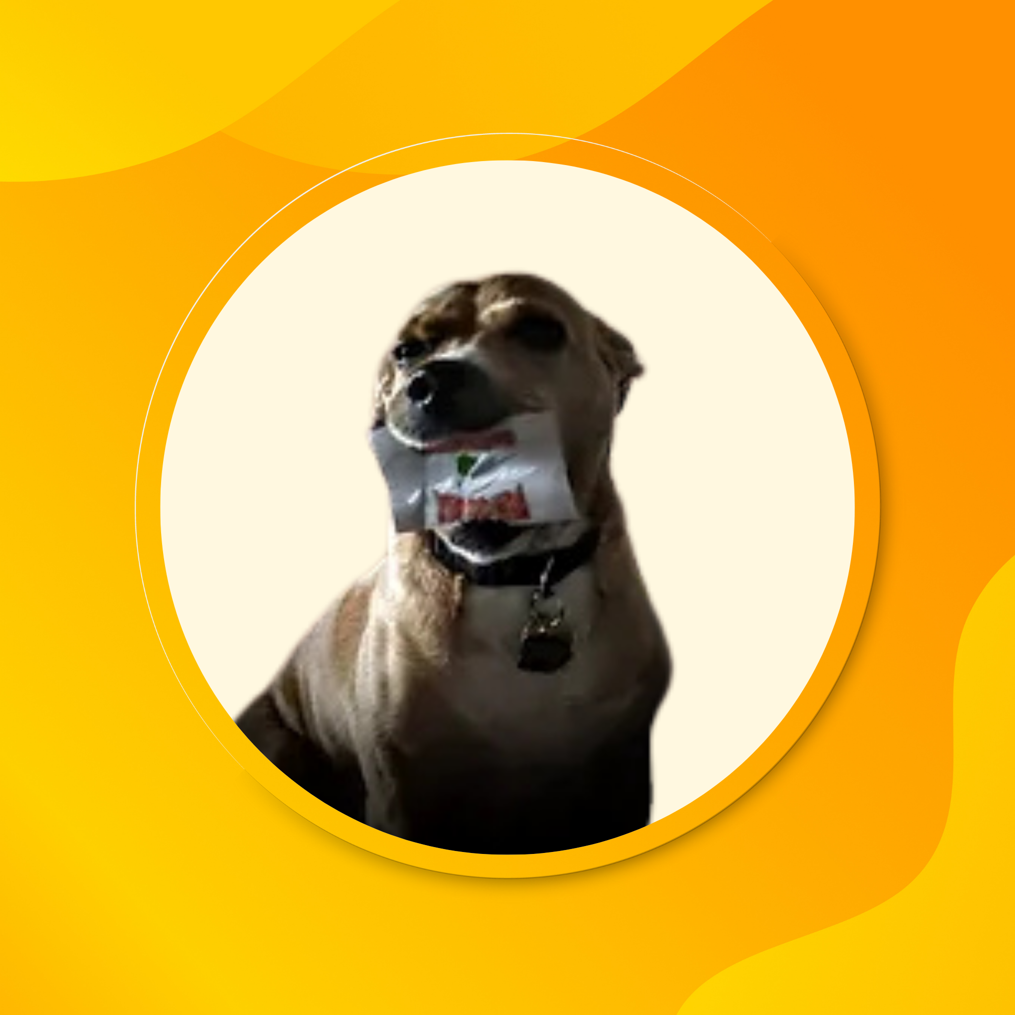 Zeek